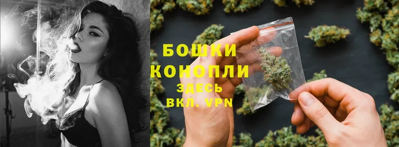 Шишки марихуана OG Kush  Ельня 